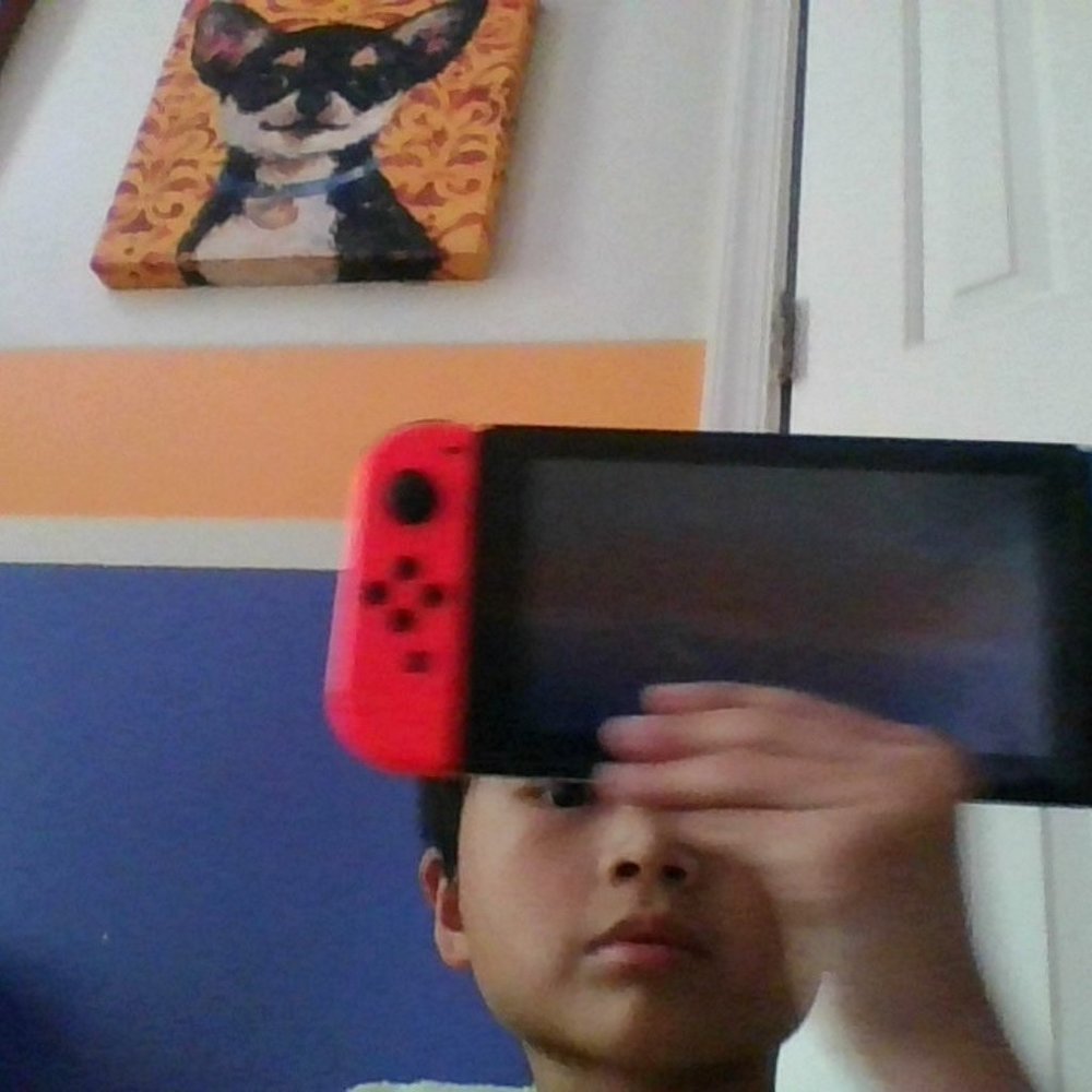 Nintendo switchfull controllerPikachu